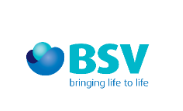 BSV Logo